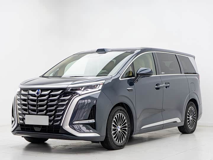 Фото 1 - Denza D9