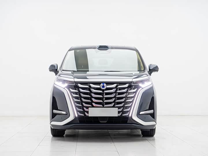 Фото 2 - Denza D9