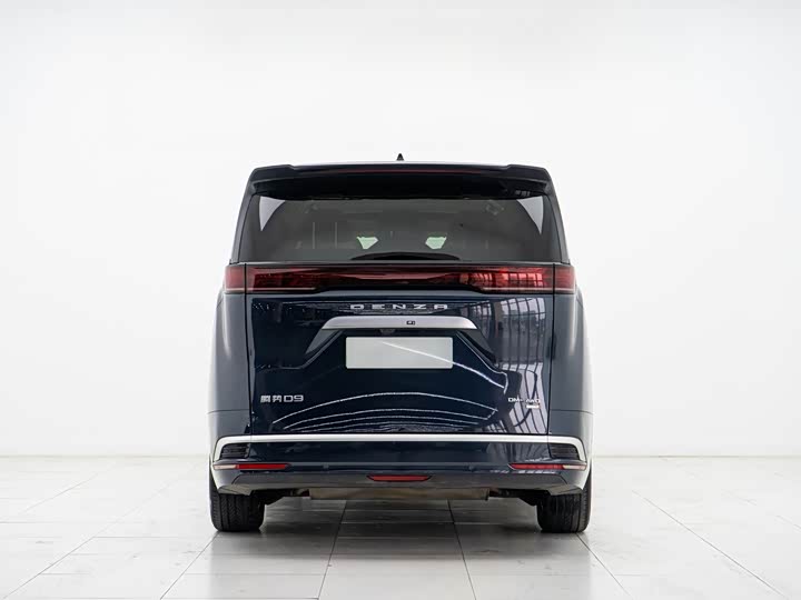 Фото 4 - Denza D9