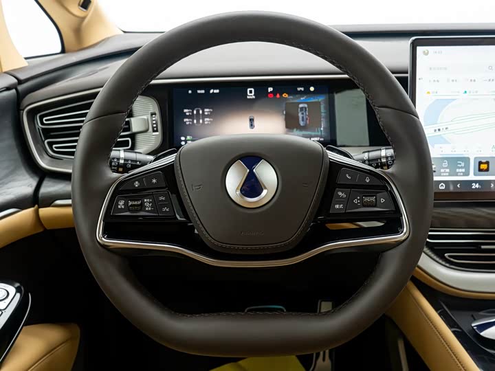 Фото 5 - Denza D9