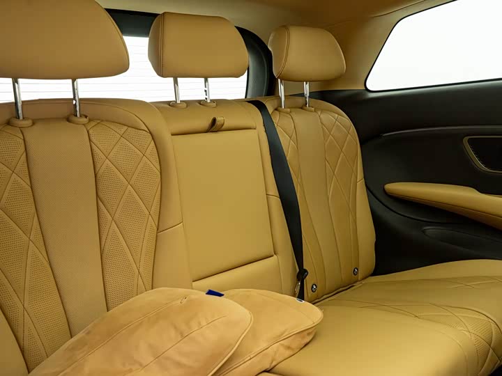 Фото 8 - Denza D9