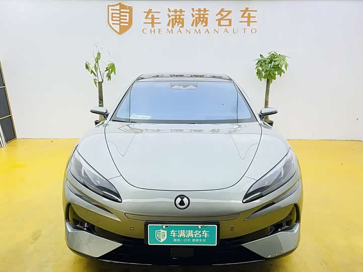 Фото 2 - Denza Z9GT