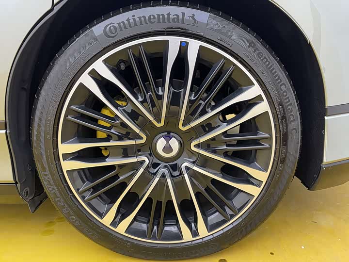 Фото 9 - Denza Z9GT