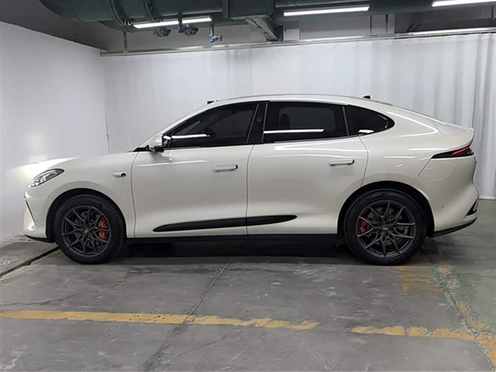 Фото 5 - IM motors LS6