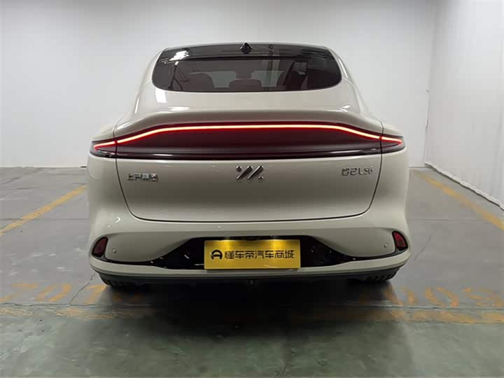 Фото 7 - IM motors LS6