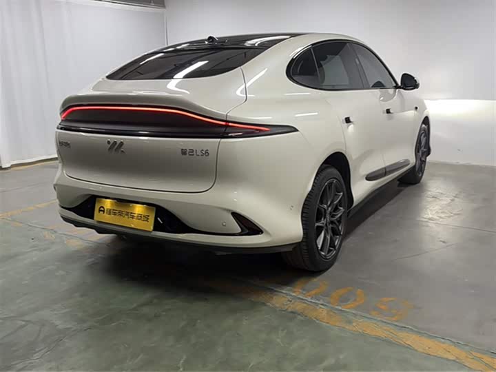 Фото 8 - IM motors LS6