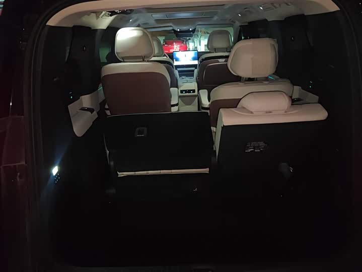 Фото 4 - BYD Xia