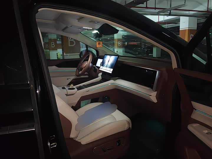 Фото 8 - BYD Xia