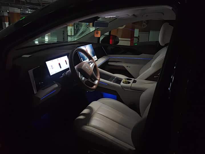 Фото 9 - BYD Xia