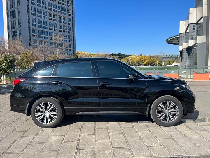 Фото 7 - Honda Avancier