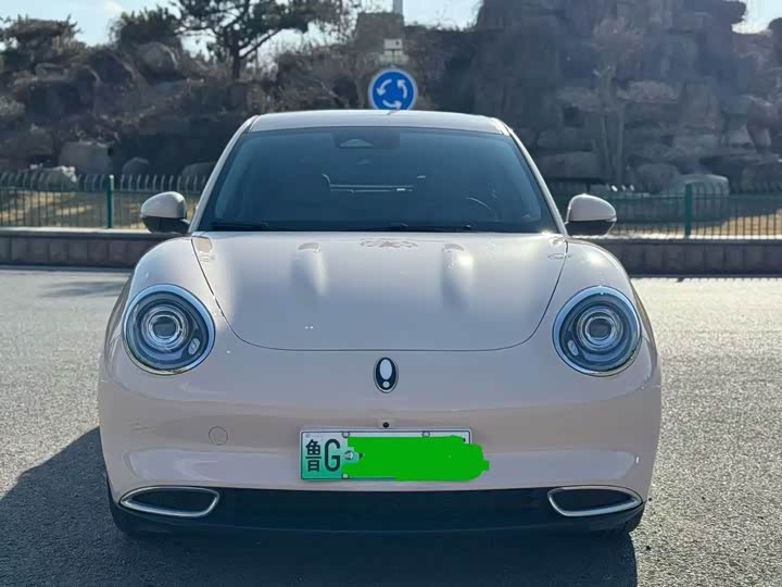 Фото 2 - Ora Good Cat (03)