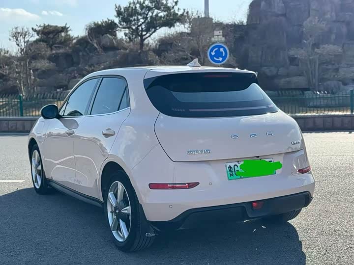 Фото 3 - Ora Good Cat (03)