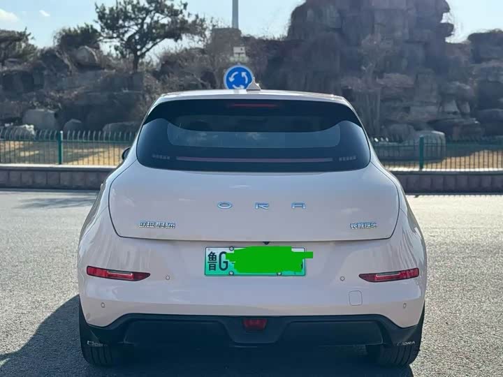 Фото 4 - Ora Good Cat (03)