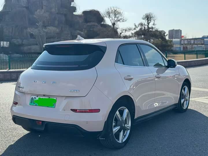 Фото 5 - Ora Good Cat (03)