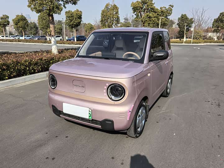 Фото 1 - Geely Galaxy Panda Mini