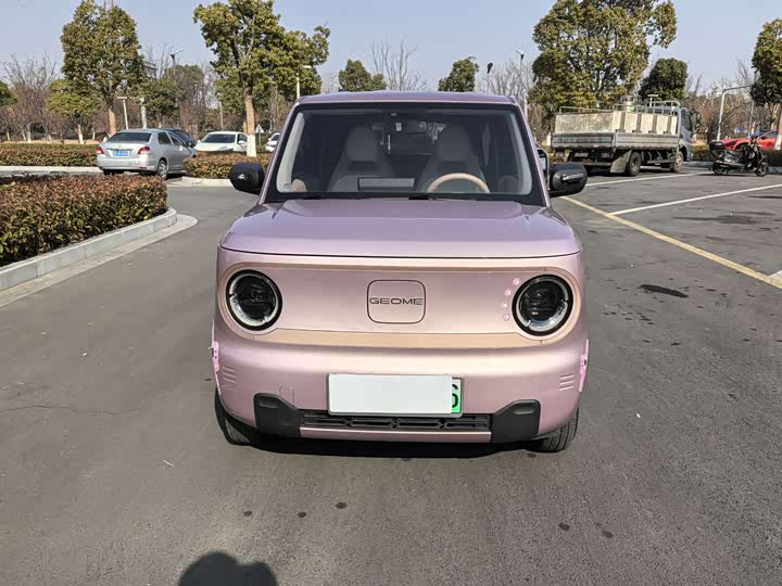 Фото 2 - Geely Galaxy Panda Mini