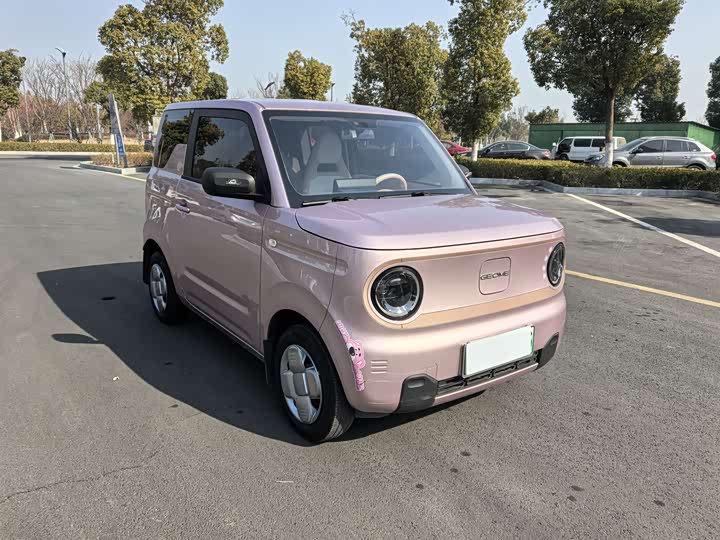 Фото 3 - Geely Galaxy Panda Mini