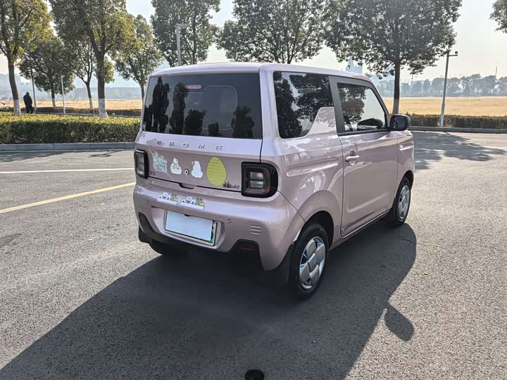 Фото 7 - Geely Galaxy Panda Mini