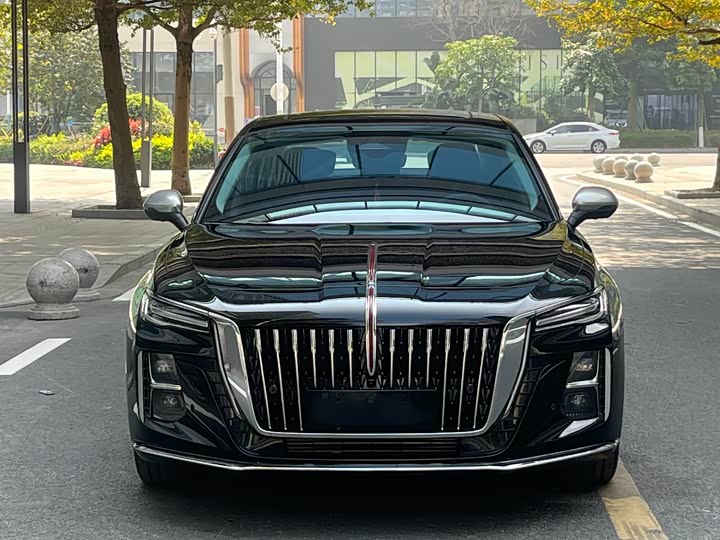 Фото 3 - Hongqi H5