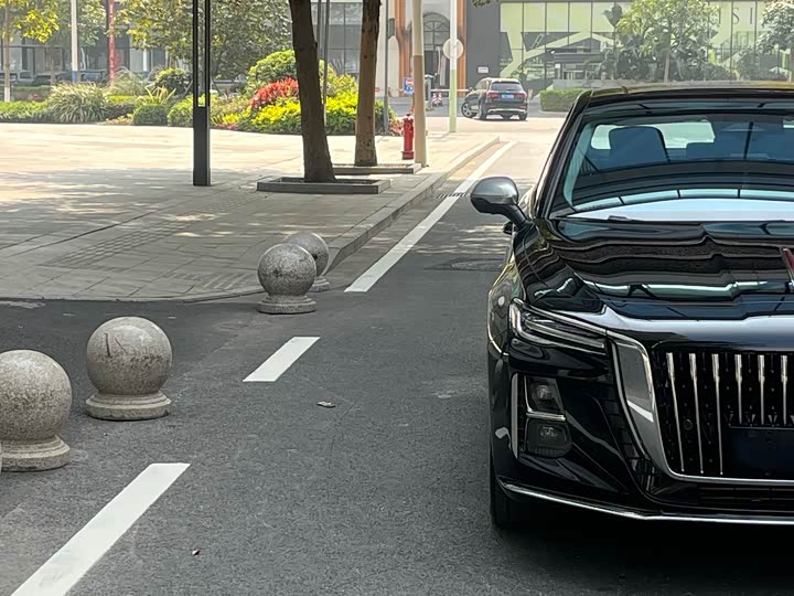 Фото 7 - Hongqi H5