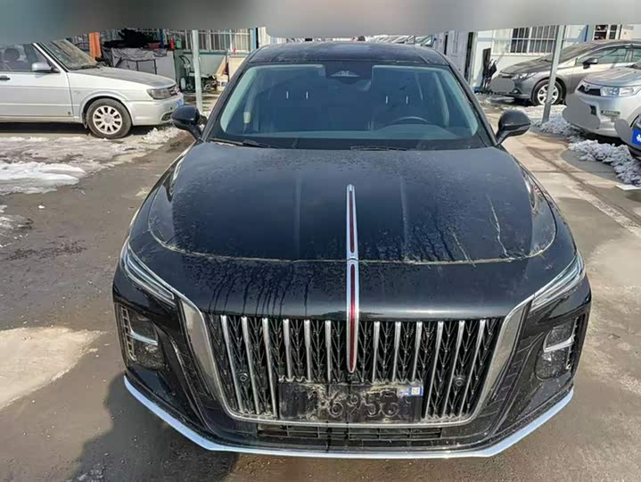 Фото 2 - Hongqi H5