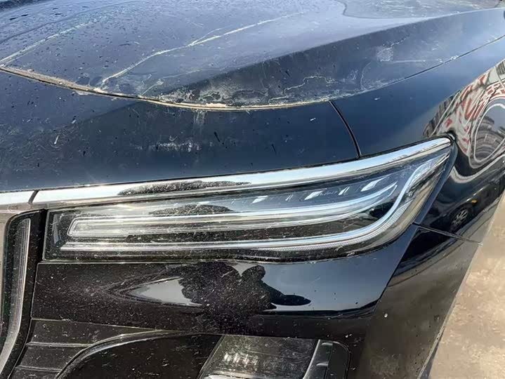 Фото 5 - Hongqi H5