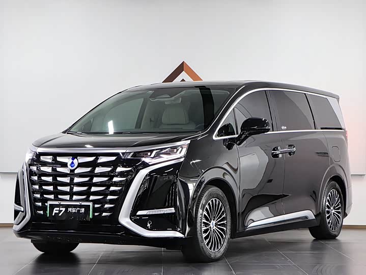 Фото 1 - Denza D9