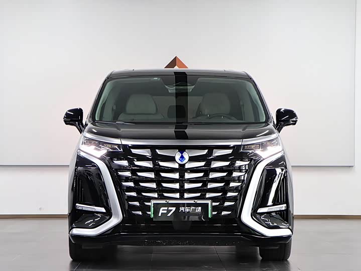 Фото 2 - Denza D9