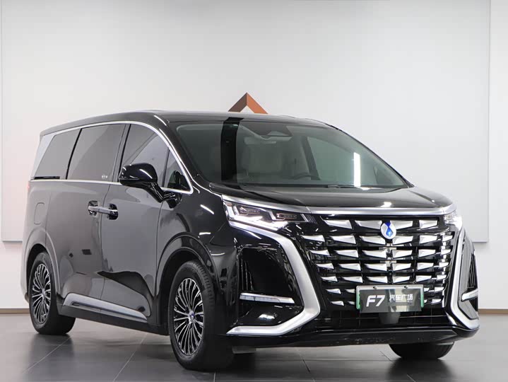 Фото 3 - Denza D9