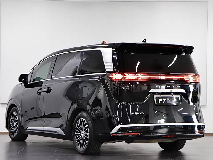 Фото 4 - Denza D9