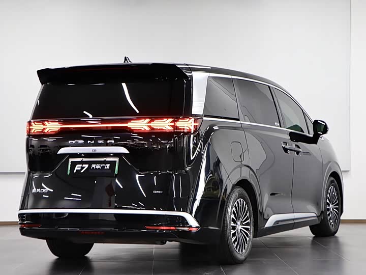 Фото 6 - Denza D9