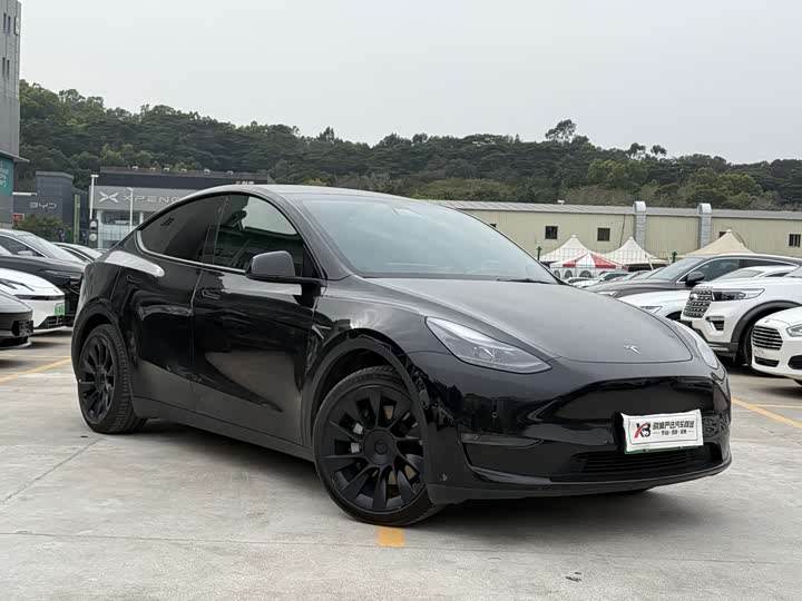 Фото 4 - Tesla Model Y