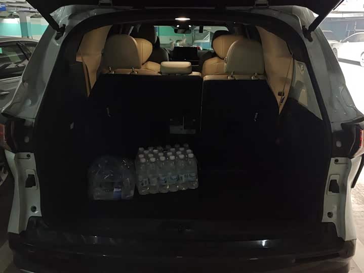 Фото 4 - Toyota Sienna