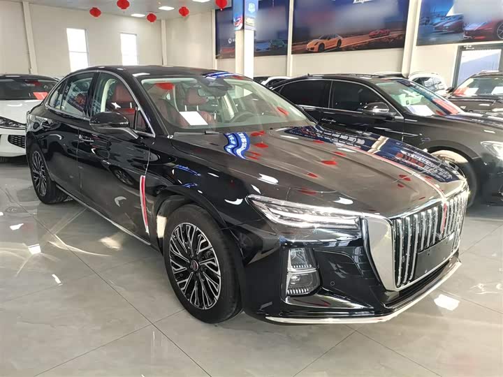 Фото 4 - Hongqi H5