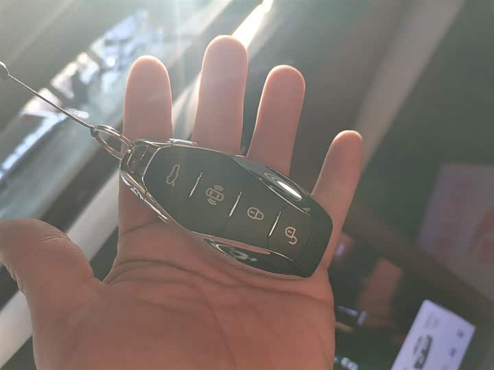 Фото 9 - Hongqi H5