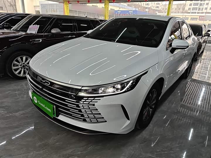 Фото 1 - BYD Destroyer 05