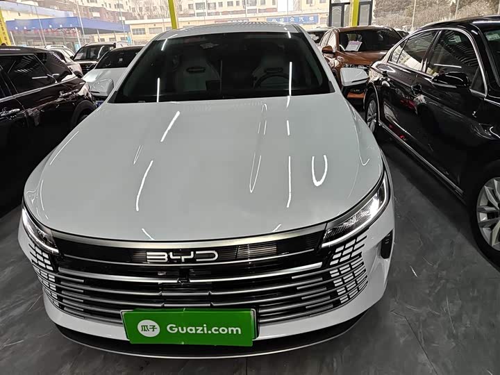 Фото 3 - BYD Destroyer 05