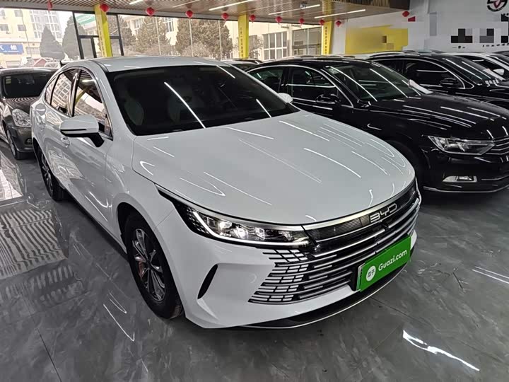 Фото 4 - BYD Destroyer 05