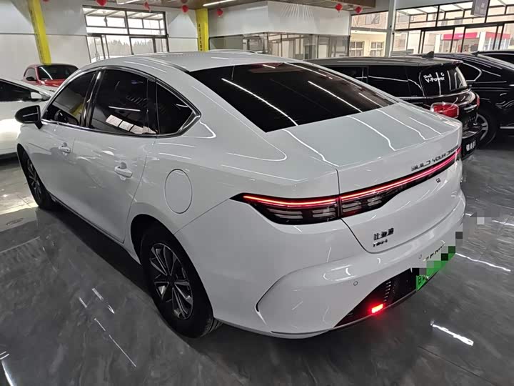 Фото 5 - BYD Destroyer 05