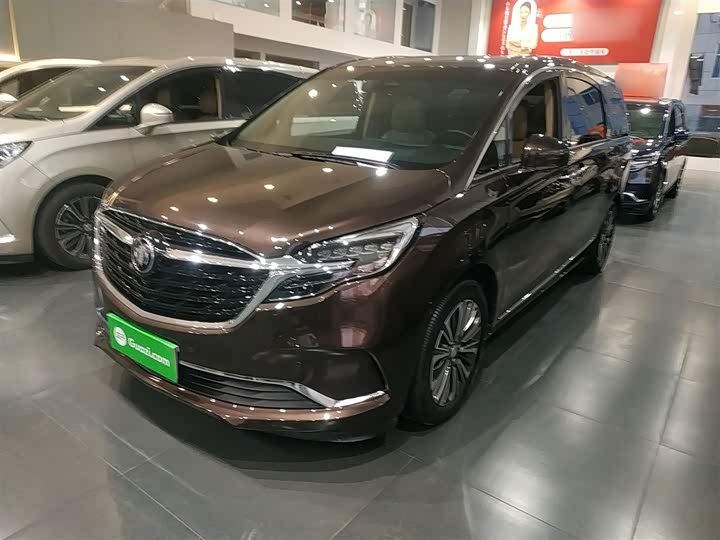 Фото 1 - Buick GL8 ES