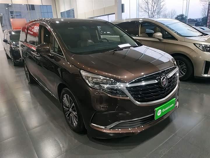 Фото 4 - Buick GL8 ES