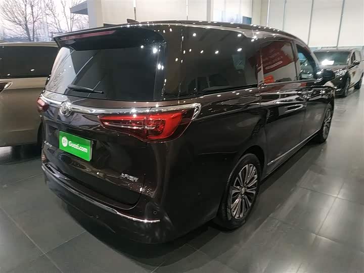 Фото 7 - Buick GL8 ES