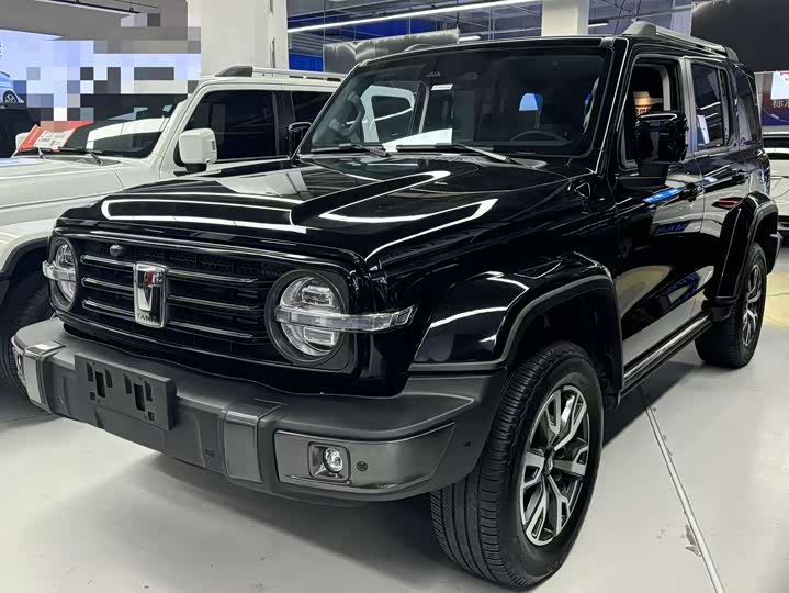 Фото 1 - Tank 300