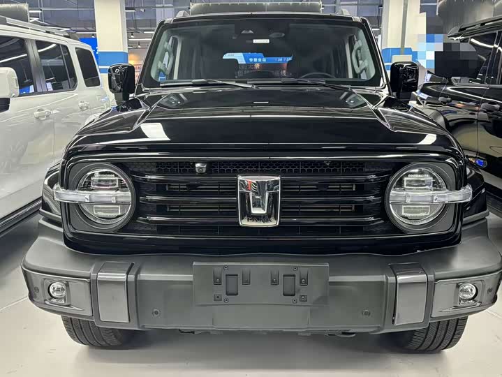 Фото 2 - Tank 300