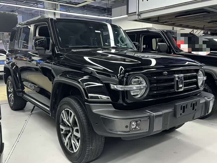 Фото 3 - Tank 300