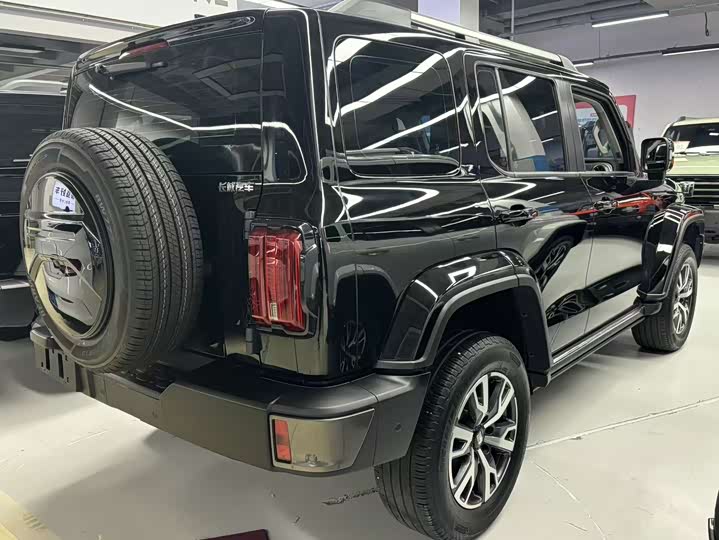 Фото 4 - Tank 300