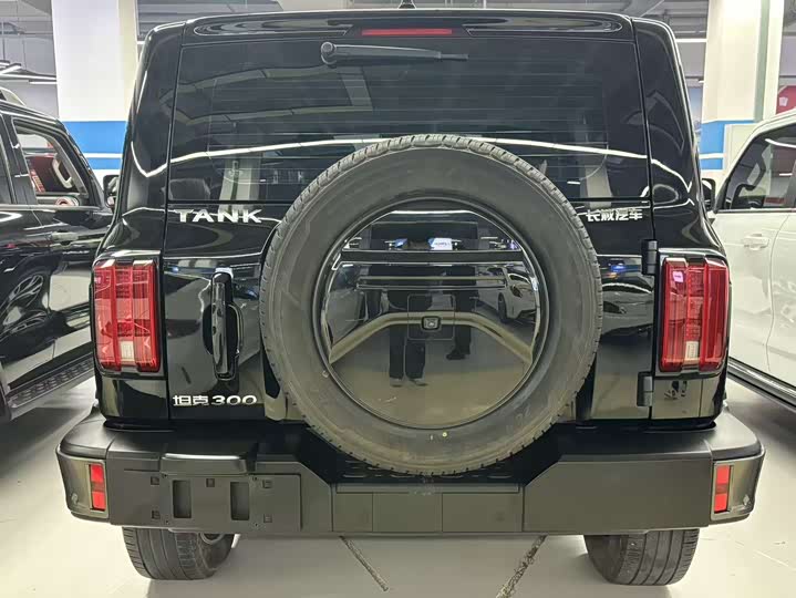 Фото 5 - Tank 300