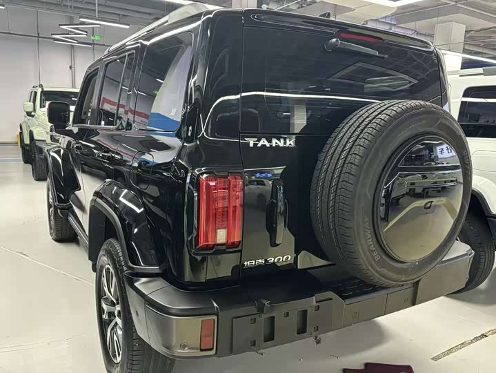 Фото 6 - Tank 300