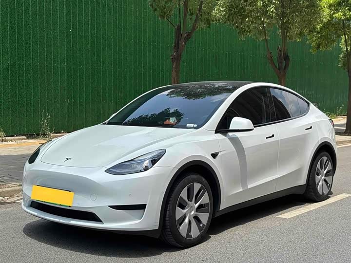 Фото 1 - Tesla Model Y