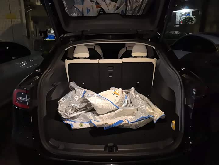 Фото 4 - Tesla Model Y